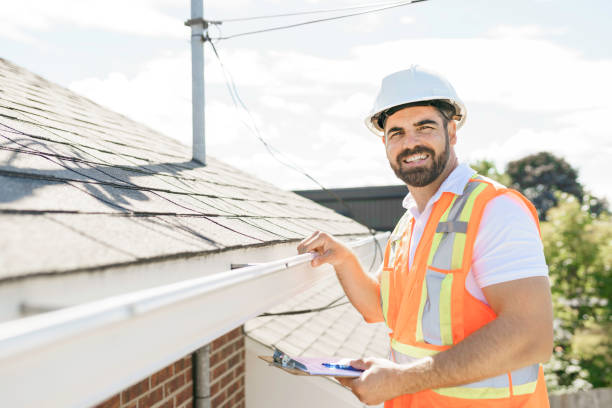 Best Roof Gutter Cleaning  in Caledonia, MN