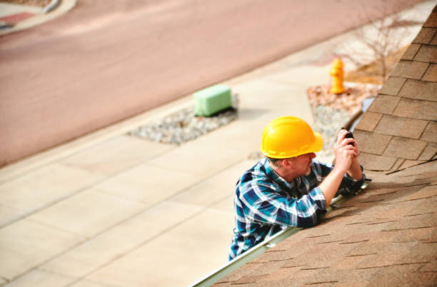 Best Flat Roof Repair Services  in Caledonia, MN