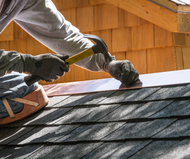 Professional Roofing Contractor in Caledonia, MN